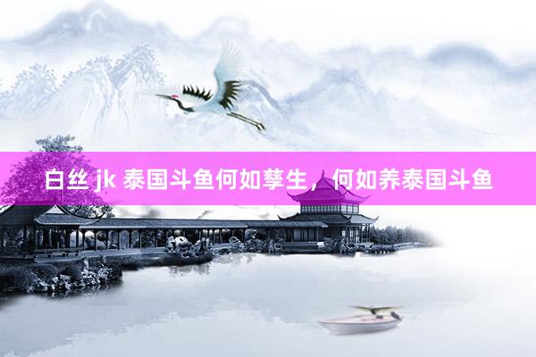 白丝 jk 泰国斗鱼何如孳生，何如养泰国斗鱼