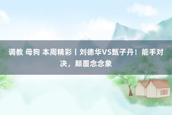 调教 母狗 本周精彩丨刘德华VS甄子丹！能手对决，颠覆念念象