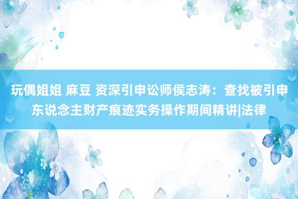 玩偶姐姐 麻豆 资深引申讼师侯志涛：查找被引申东说念主财产痕迹实务操作期间精讲|法律