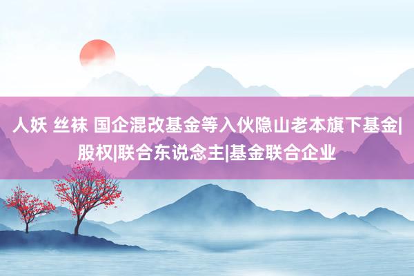 人妖 丝袜 国企混改基金等入伙隐山老本旗下基金|股权|联合东说念主|基金联合企业