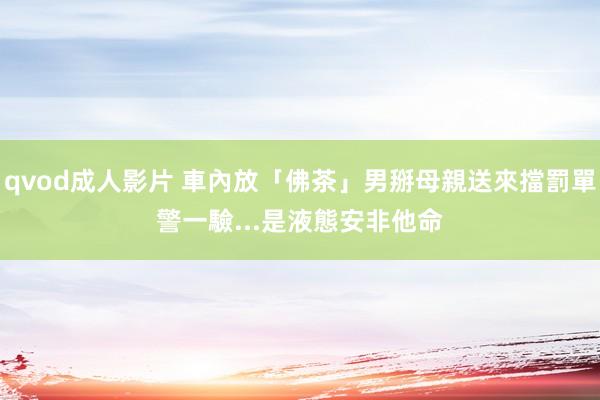 qvod成人影片 車內放「佛茶」男掰母親送來擋罰單　警一驗...是液態安非他命