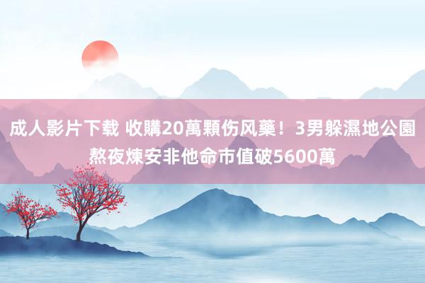 成人影片下载 收購20萬顆伤风藥！3男躲濕地公園熬夜煉安非他命　市值破5600萬