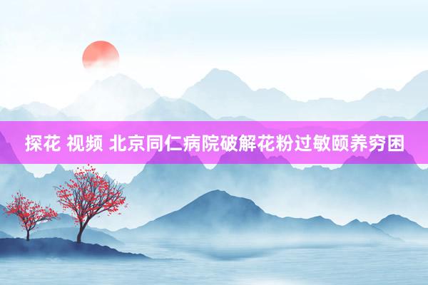 探花 视频 北京同仁病院破解花粉过敏颐养穷困