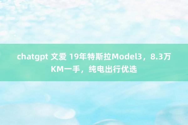 chatgpt 文爱 19年特斯拉Model3，8.3万KM一手，纯电出行优选