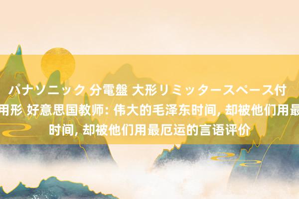 パナソニック 分電盤 大形リミッタースペース付 露出・半埋込両用形 好意思国教师: 伟大的毛泽东时间, 却被他们用最厄运的言语评价