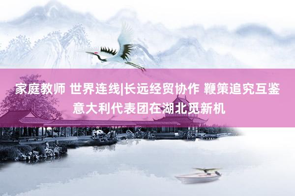 家庭教师 世界连线|长远经贸协作 鞭策追究互鉴 意大利代表团在湖北觅新机