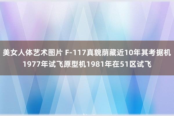 美女人体艺术图片 F-117真貌荫藏近10年其考据机1977年试飞原型机1981年在51区试飞