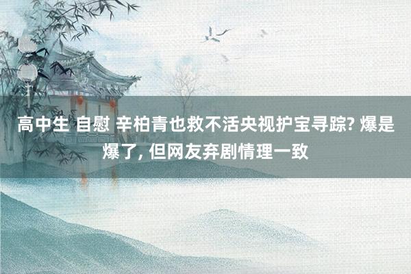 高中生 自慰 辛柏青也救不活央视护宝寻踪? 爆是爆了, 但网友弃剧情理一致