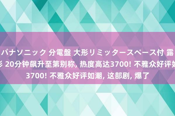 パナソニック 分電盤 大形リミッタースペース付 露出・半埋込両用形 20分钟飙升至第别称, 热度高达3700! 不雅众好评如潮, 这部剧, 爆了