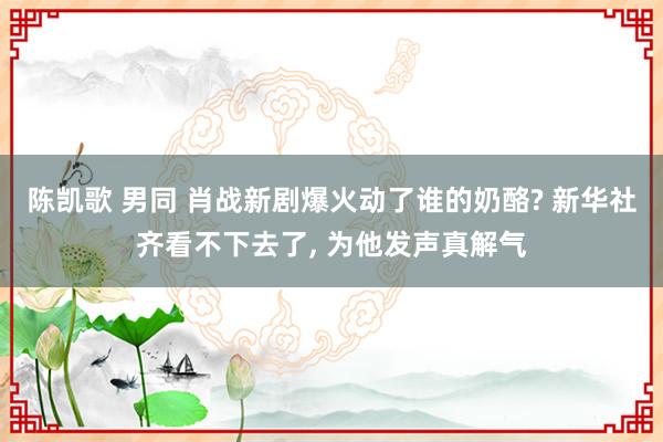 陈凯歌 男同 肖战新剧爆火动了谁的奶酪? 新华社齐看不下去了, 为他发声真解气