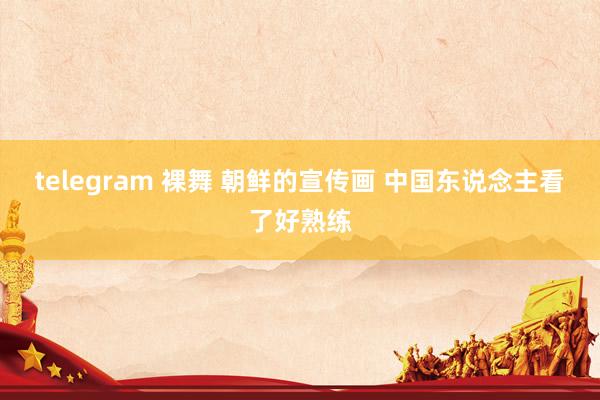 telegram 裸舞 朝鲜的宣传画 中国东说念主看了好熟练