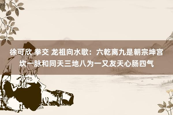 徐可欣 拳交 龙祖向水歌:六乾离九是朝宗坤宫坎一脉和同天三地八为一又友天心肠四气