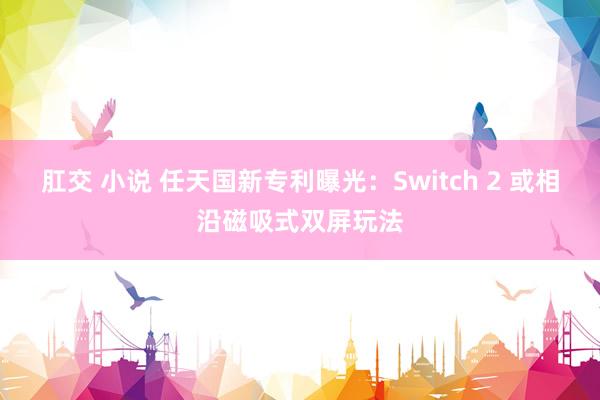 肛交 小说 任天国新专利曝光：Switch 2 或相沿磁吸式双屏玩法