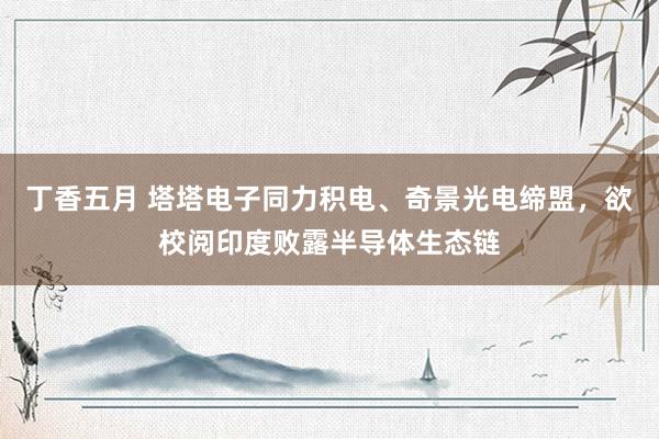 丁香五月 塔塔电子同力积电、奇景光电缔盟，欲校阅印度败露半导体生态链